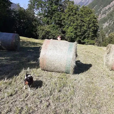 Hébergement de vacances Signorile Con Giardino