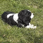 Hébergement de vacances Signorile Con Giardino