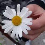 Hébergement de vacances Signorile Con Giardino Aoste