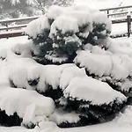 Signorile Con Giardino Hébergement de vacances Aoste