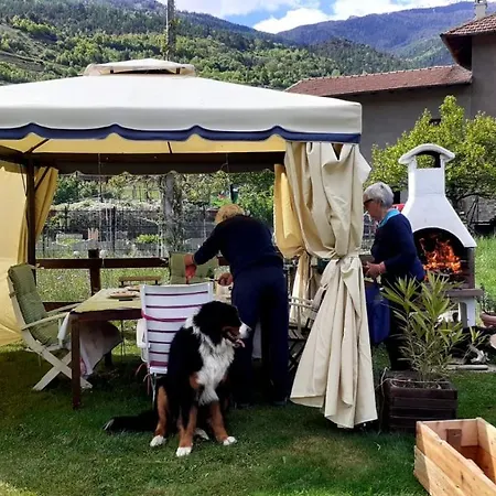 펜션 Signorile Con Giardino