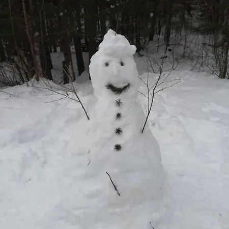 펜션 Signorile Con Giardino