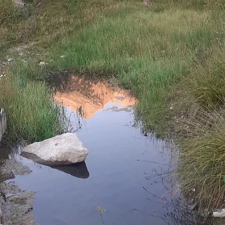 Signorile Con Giardino 펜션 아오스타