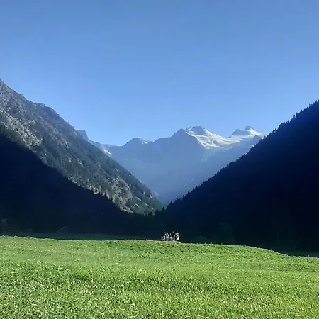 Signorile Con Giardino