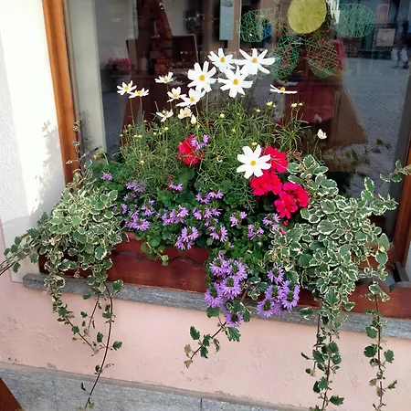 Signorile Con Giardino 펜션 아오스타