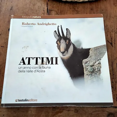 Vakantiehuis Signorile Con Giardino