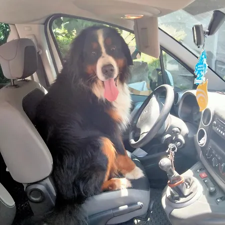 Signorile Con Giardino *