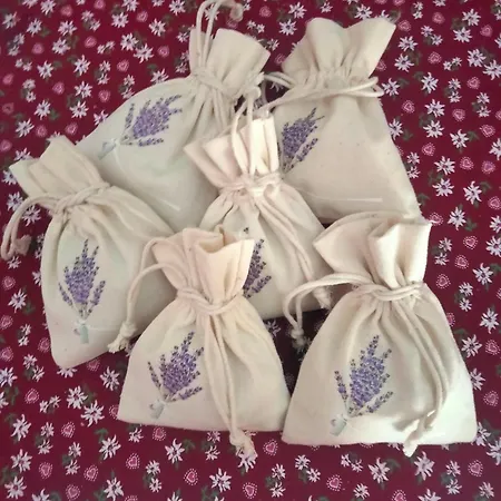 Signorile Con Giardino Vakantiehuis