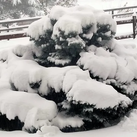 Signorile Con Giardino 펜션 아오스타