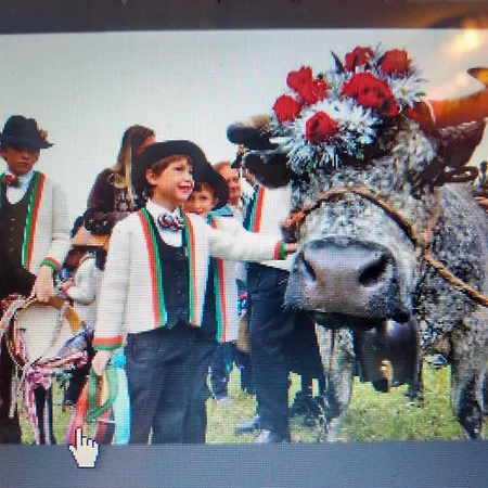 Signorile Con Giardino 펜션 아오스타