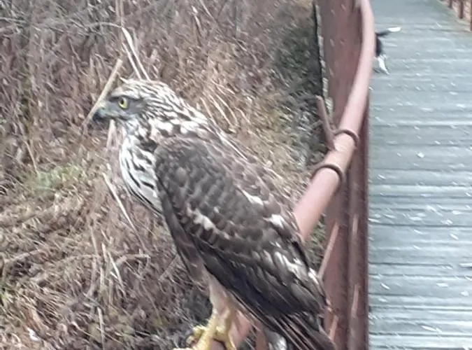Nyaraló Signorile Con Giardino *