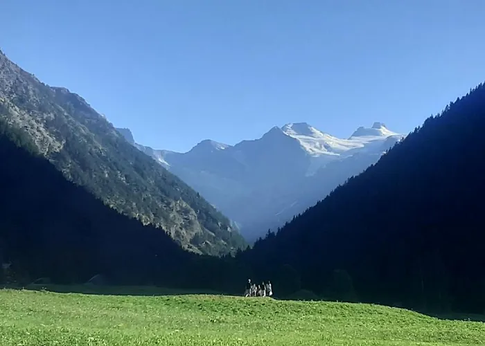 Signorile Con Giardino