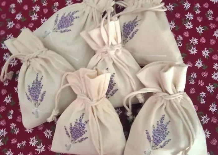 Signorile Con Giardino Дом отдыха