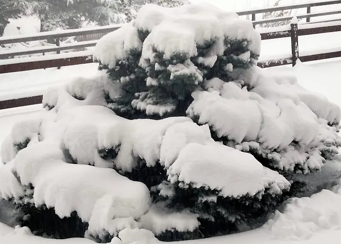 Signorile Con Giardino Nyaraló Aosta