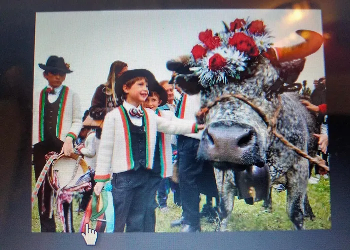 Signorile Con Giardino Nyaraló Aosta
